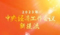 九九九精品视频,揭秘精彩瞬间，尽享视听盛宴