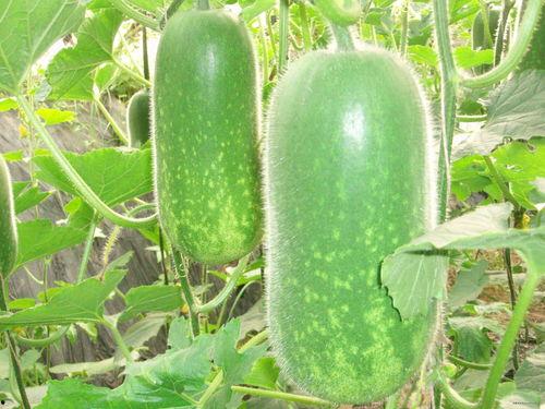 吃瓜网每日大赛聚集地